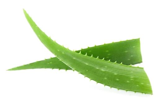 A marca Fungeent de marca contén Aloe Vera